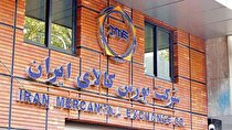 توزیع بیش از ۱۲۷ میلیون لیتر انواع فرآورده نفتی در منطقه ایلام