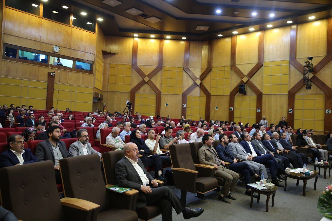 عملکرد طلائی صدر تامین در حوزه سرمایه‌گذاری
