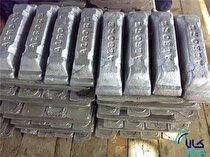 سرب به مسیر صعودی خود ادامه داد