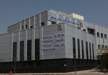 نتیجه حضور تیم بازرسی گمرک در بوشهر چه بود؟
