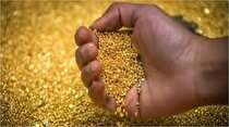 افزایش قیمت طلا در مورد دنیای خطرناک چه می‌گوید؟