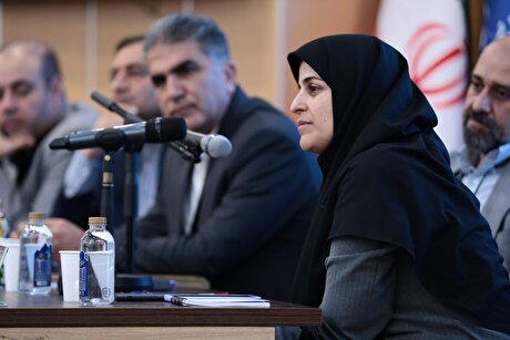 خلوصی: هدف ایمیدرو در مدل‌های جدید سرمایه‌گذاری، جهش در اکتشاف است/ یونسیان: از سرمایه‌گذاران حمایت بیمه‌ای می‌شود