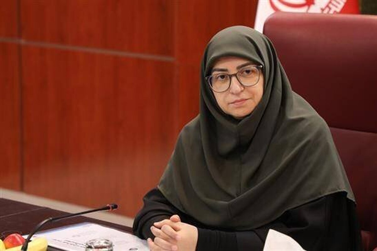 تاکید «شینا انصاری» بر اصلاح قانون در زمینه حمل سلاح و عملکرد معادن