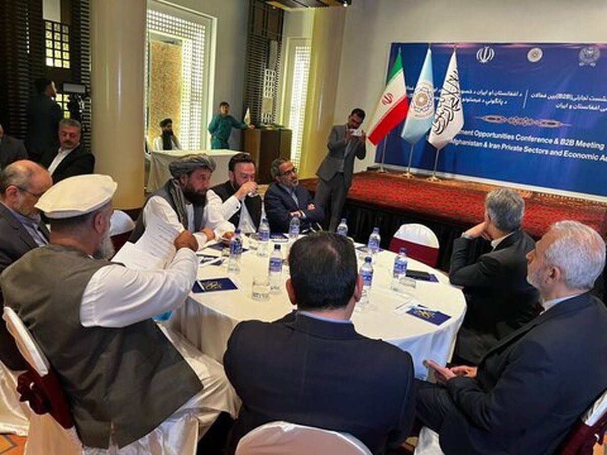 سرمایه‌گذاری معدنی یا بازآرایی زنجیره تأمین؟